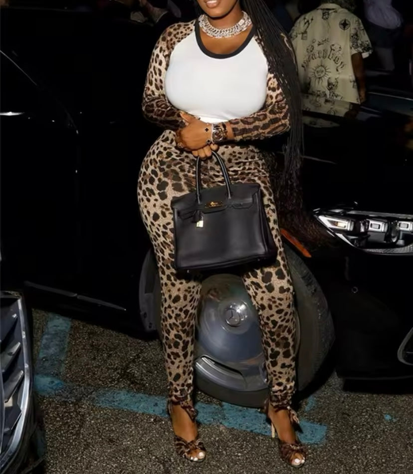 Chic Leopard Print Two-Piece Set – Long Sleeve Top and High-Waist Pants